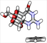 TTX molecule